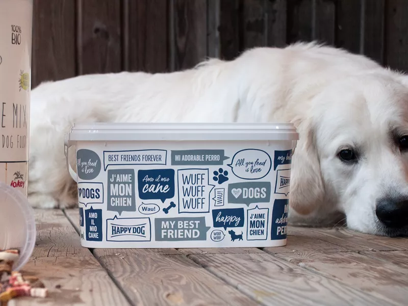 Foderspand med print og PET-krukke til hundeslik
